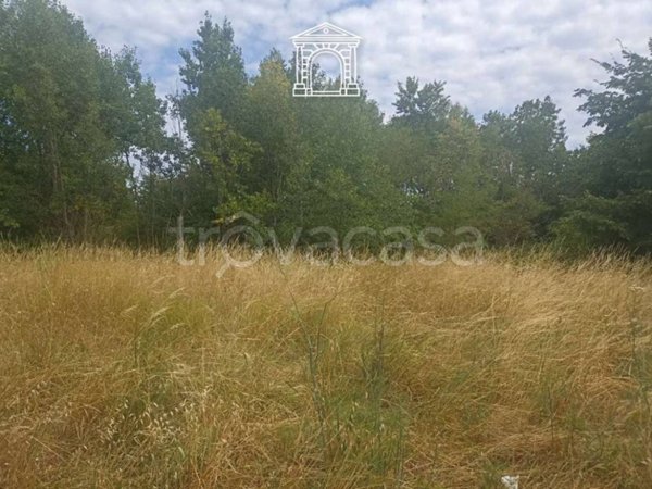 terreno agricolo in vendita a Muggia in zona Farnei