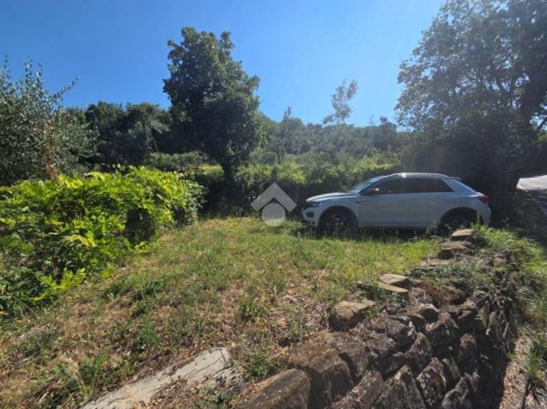 terreno agricolo in vendita a Muggia in zona Santa Barbara