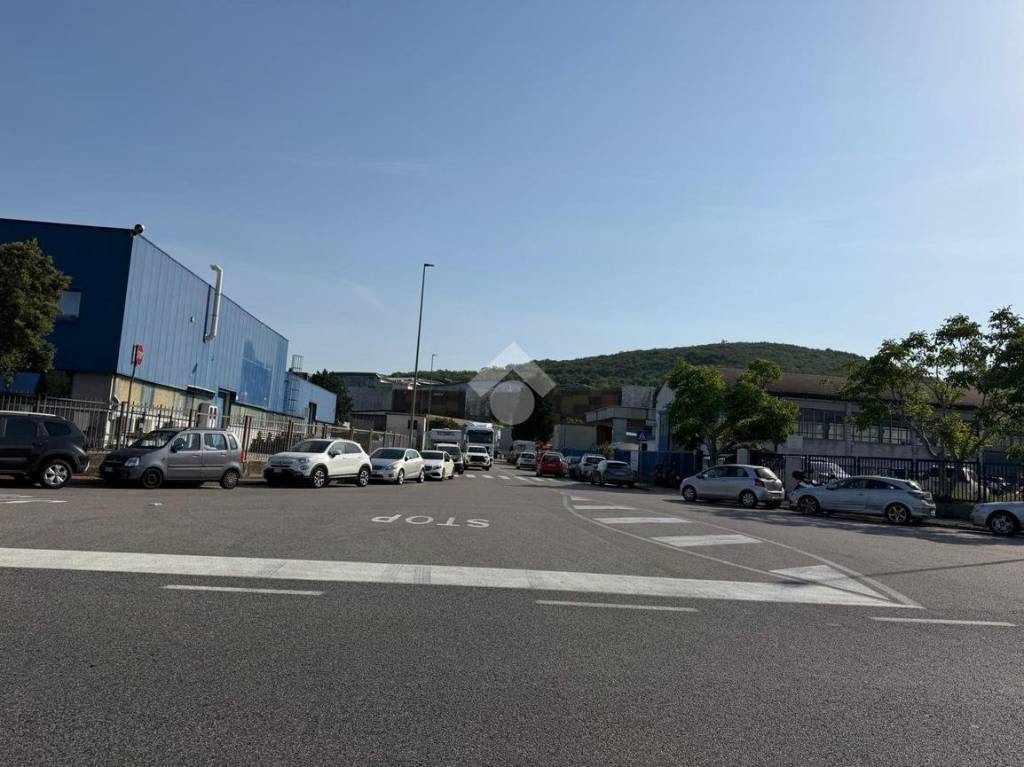 negozio in vendita a Muggia