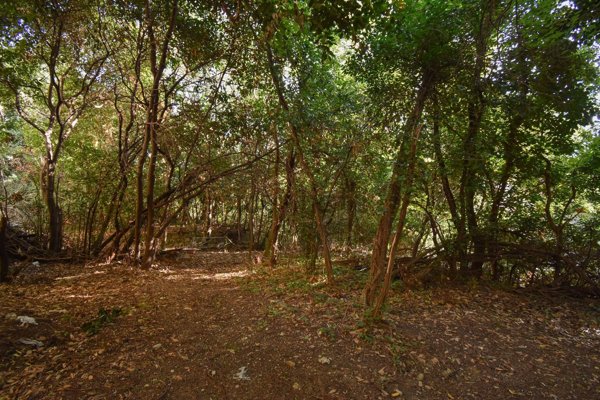 terreno in vendita a Muggia
