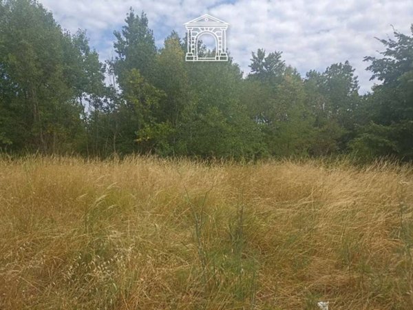 terreno in vendita a Muggia in zona Farnei