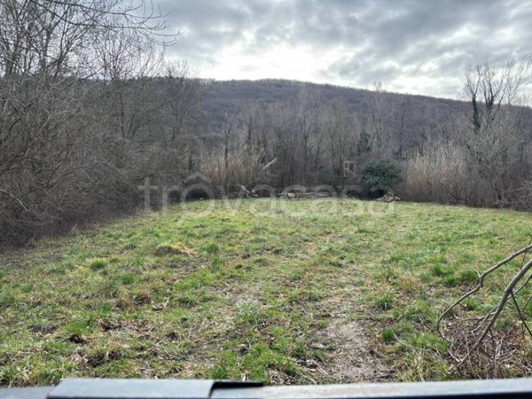terreno agricolo in vendita a San Dorligo della Valle