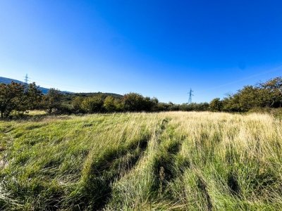 terreno agricolo a San Dorligo della Valle in zona Sant'Antonio in Bosco