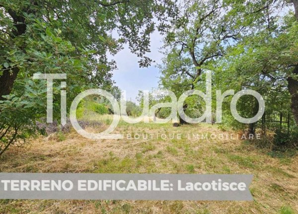 terreno agricolo in vendita a San Dorligo della Valle in zona Domio