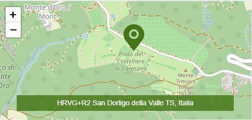 terreno agricolo in vendita a San Dorligo della Valle in zona Caresana