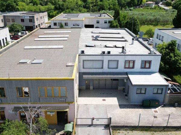 locale commerciale in vendita a San Dorligo della Valle in zona Domio