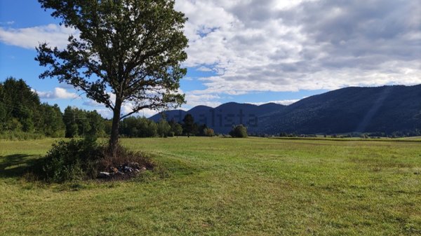 terreno agricolo in vendita a San Dorligo della Valle