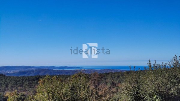 appartamento in vendita a San Dorligo della Valle