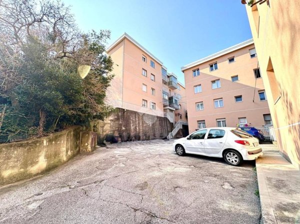 appartamento in vendita a San Dorligo della Valle in zona Francovez