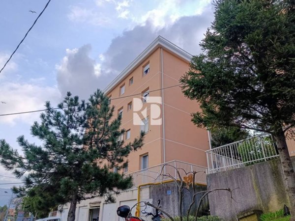 appartamento in vendita a San Dorligo della Valle in zona Domio