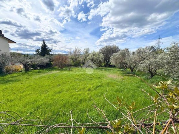 terreno agricolo in vendita a San Dorligo della Valle in zona Domio