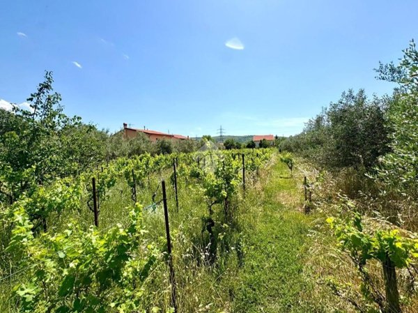 terreno edificabile in vendita a San Dorligo della Valle in zona Domio