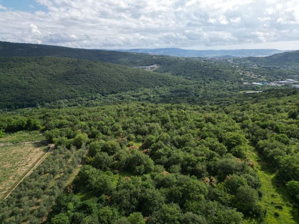 terreno edificabile in vendita a San Dorligo della Valle in zona Caresana
