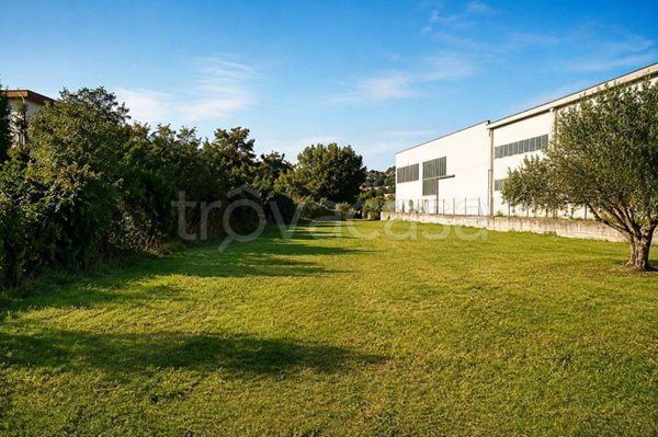 terreno agricolo a San Dorligo della Valle in zona Bagnoli della Rosandra