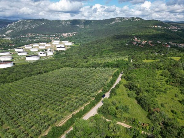 terreno agricolo in vendita a San Dorligo della Valle in zona Monte d'Oro