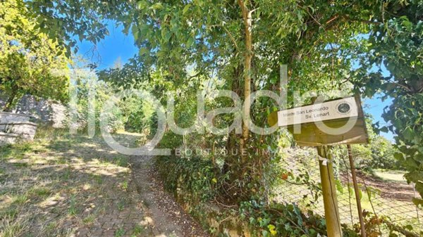 terreno agricolo in vendita a Sgonico
