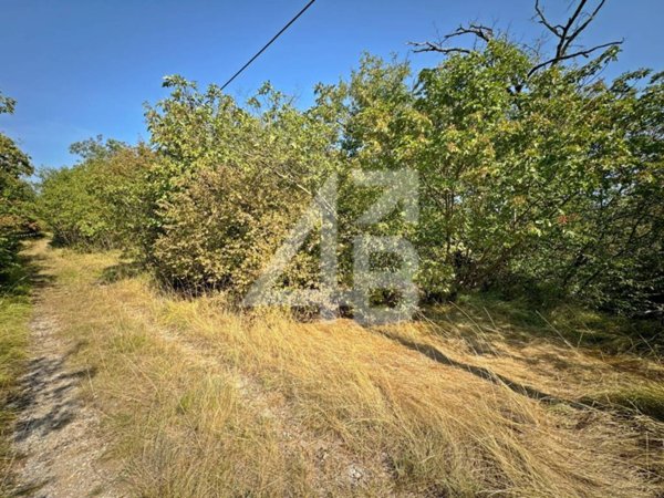 terreno agricolo in vendita a Sgonico