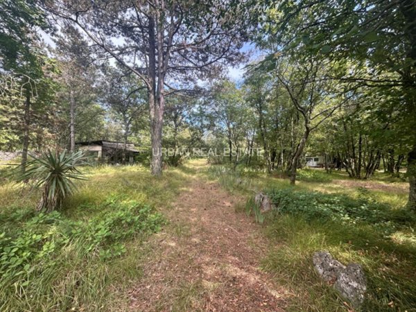 terreno agricolo in vendita a Sgonico