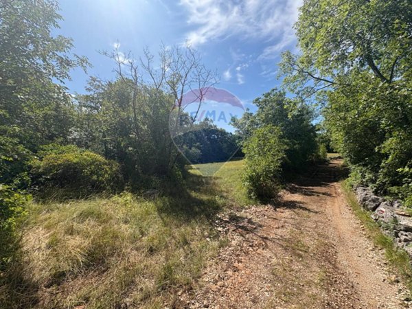 terreno agricolo in vendita a Sgonico in zona Bristie