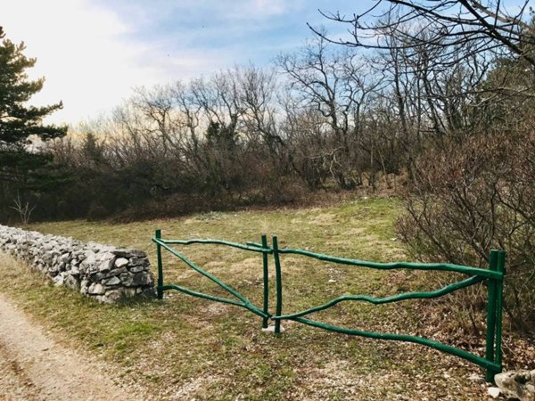 terreno agricolo in vendita a Sgonico in zona Sagrado