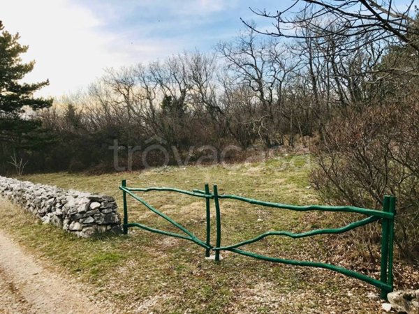 immagine annuncio 0 di 15