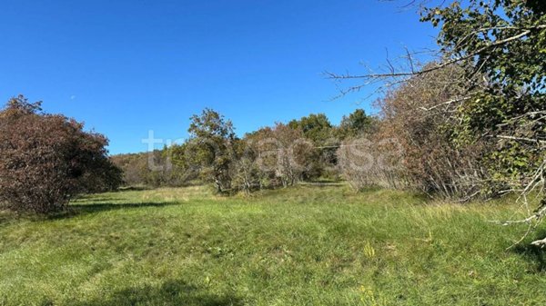 terreno agricolo in vendita a Sgonico in zona Rupinpiccolo