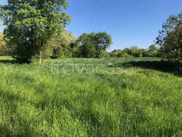 terreno agricolo in vendita a Sgonico