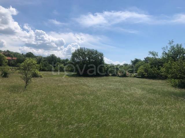terreno agricolo in vendita a Sgonico