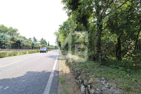 terreno agricolo in vendita a Sgonico