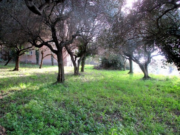 casa indipendente in vendita a Trieste in zona Valmaura