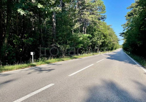 terreno agricolo in vendita a Trieste in zona Basovizza
