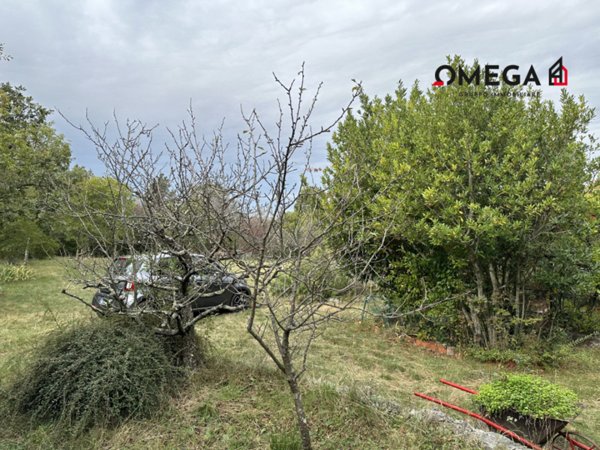 terreno agricolo in vendita a Trieste in zona Basovizza