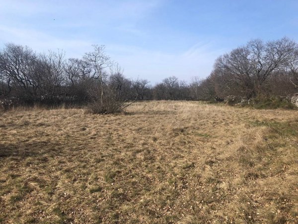 terreno agricolo in vendita a Trieste in zona Basovizza