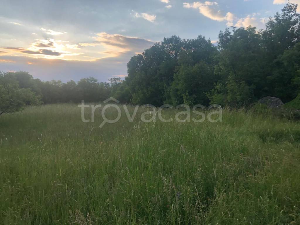 terreno agricolo in vendita a Trieste in zona Opicina