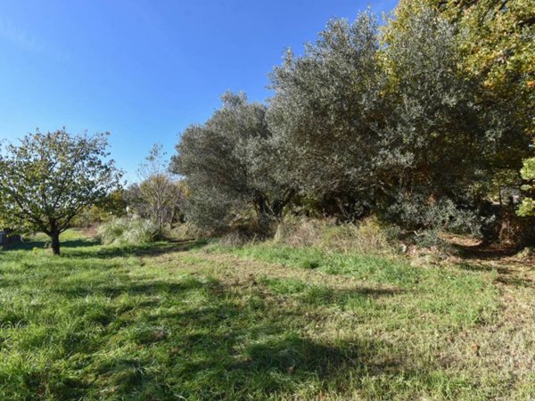 terreno agricolo in vendita a Trieste in zona Borgo San Sergio