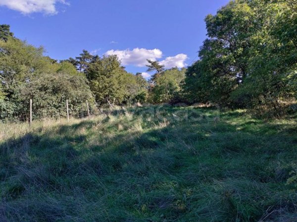 terreno agricolo in vendita a Trieste in zona Prosecco