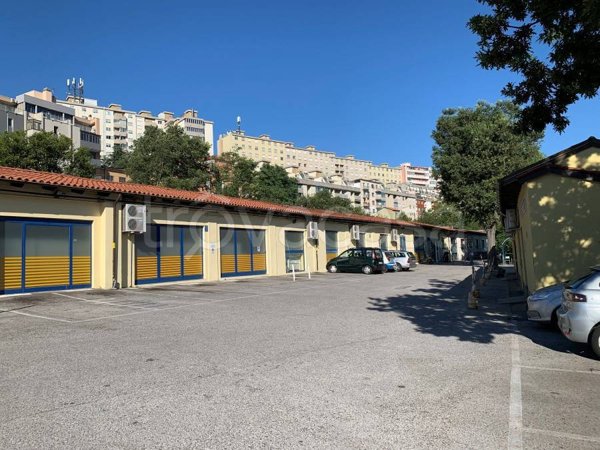 negozio in vendita a Trieste
