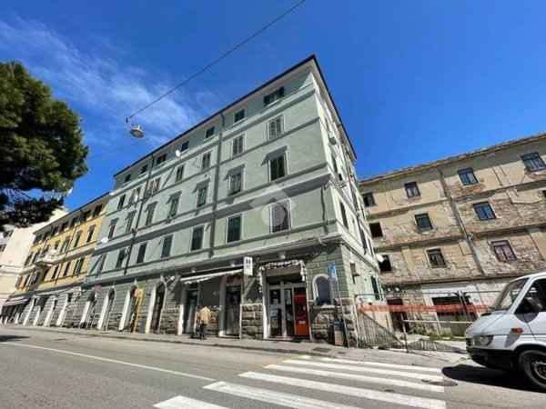 negozio in vendita a Trieste