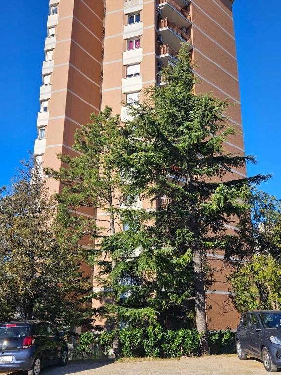 appartamento in vendita a Trieste in zona Città Vecchia