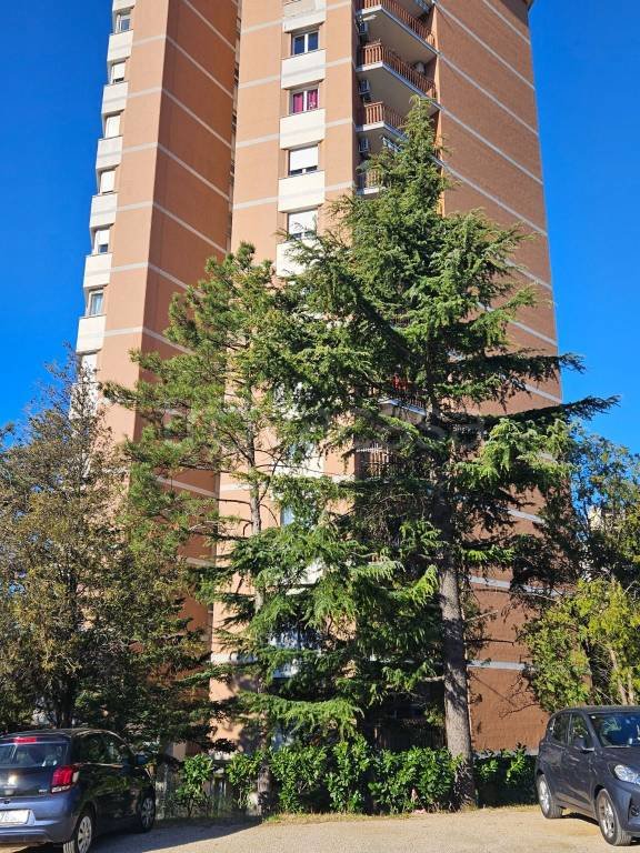 appartamento in vendita a Trieste in zona Città Vecchia
