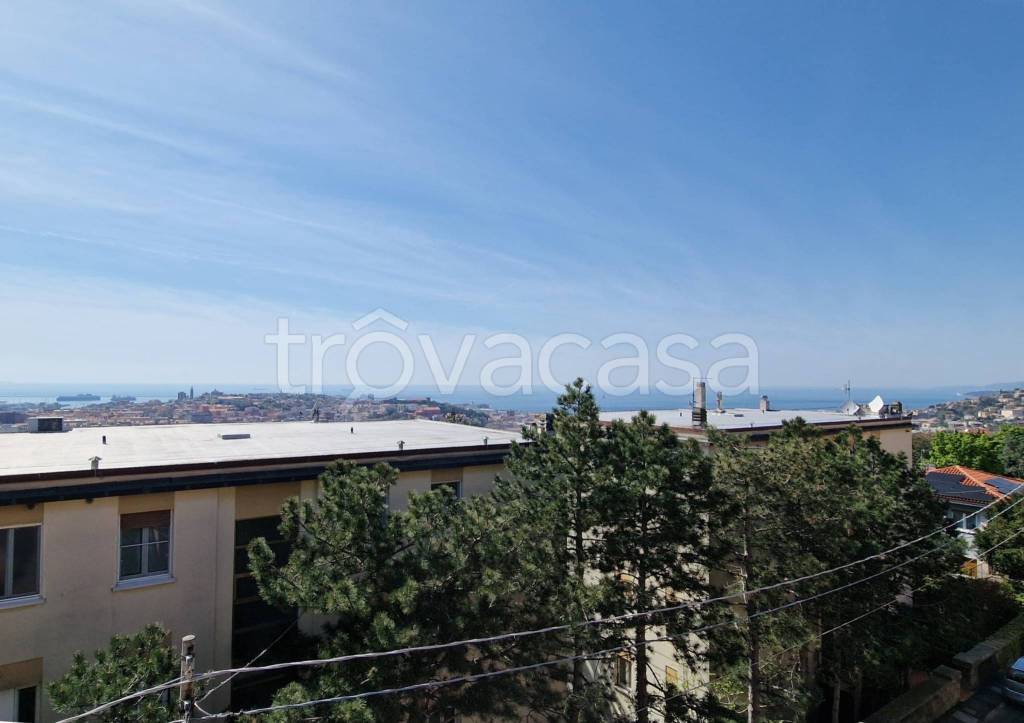 appartamento in vendita a Trieste in zona Rozzol
