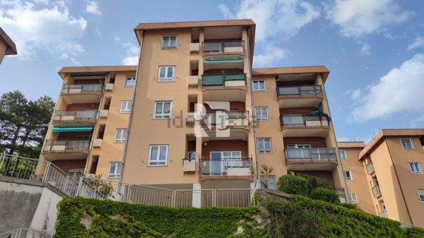 appartamento in vendita a Trieste in zona Cologna