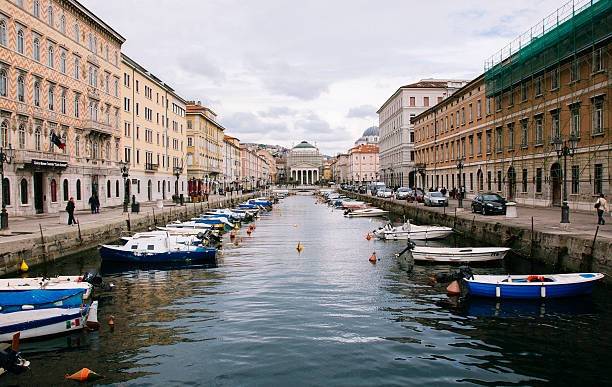 negozio in vendita a Trieste