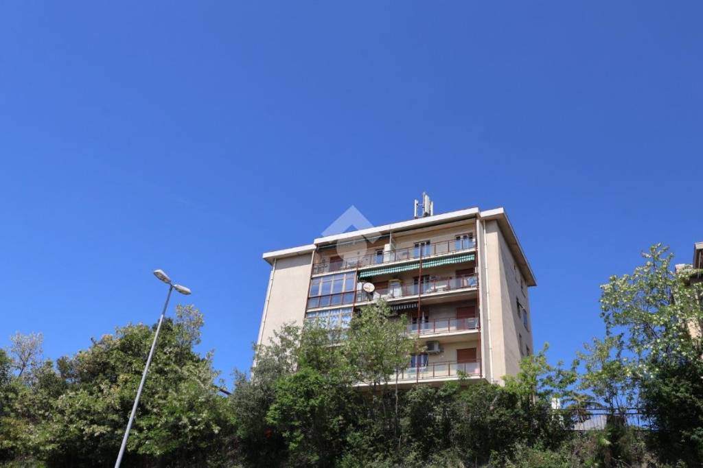 appartamento in vendita a Trieste in zona Borgo San Sergio