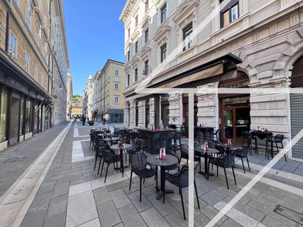 negozio in vendita a Trieste
