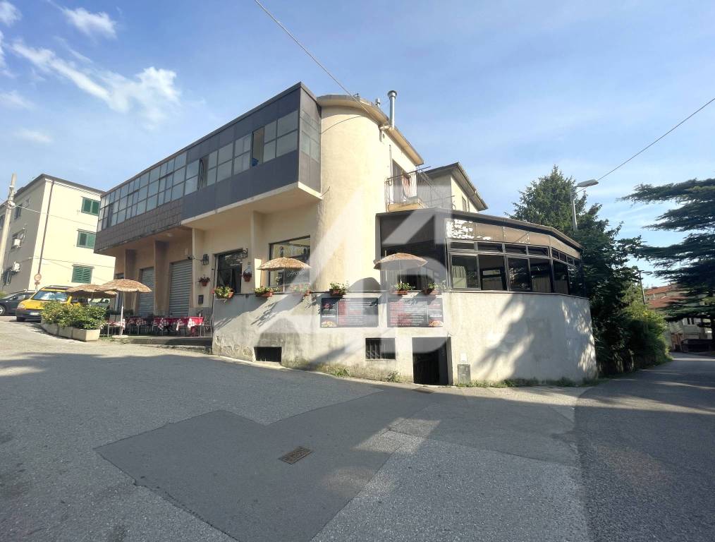 immagine annuncio 0 di 15