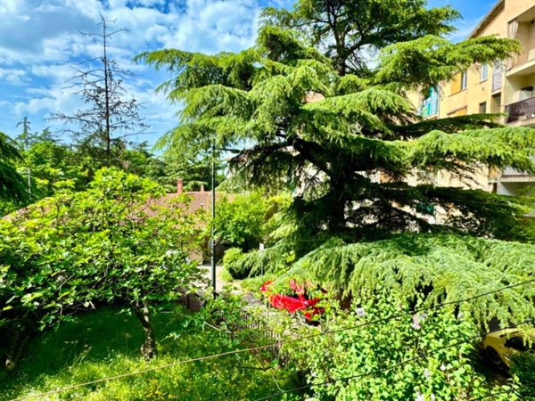 appartamento in vendita a Trieste in zona Borgo San Sergio