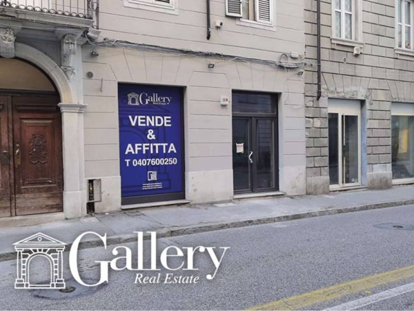 negozio in vendita a Trieste