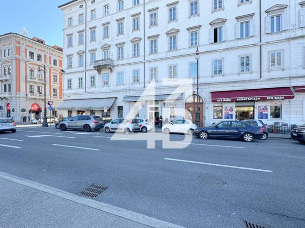 negozio in vendita a Trieste in zona Gretta