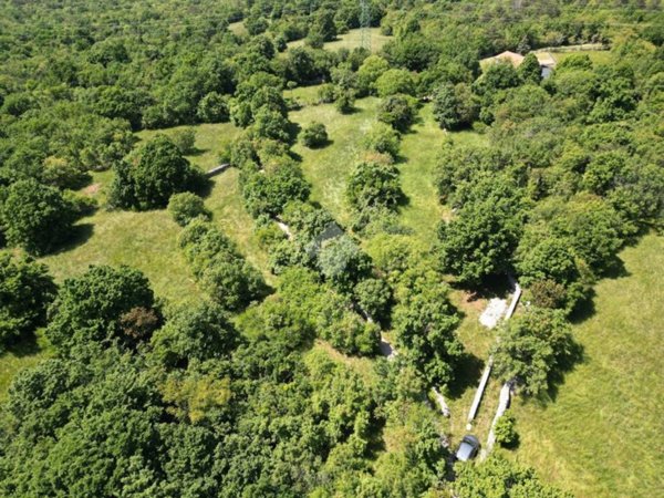 terreno agricolo in vendita a Trieste in zona Trebiciano
